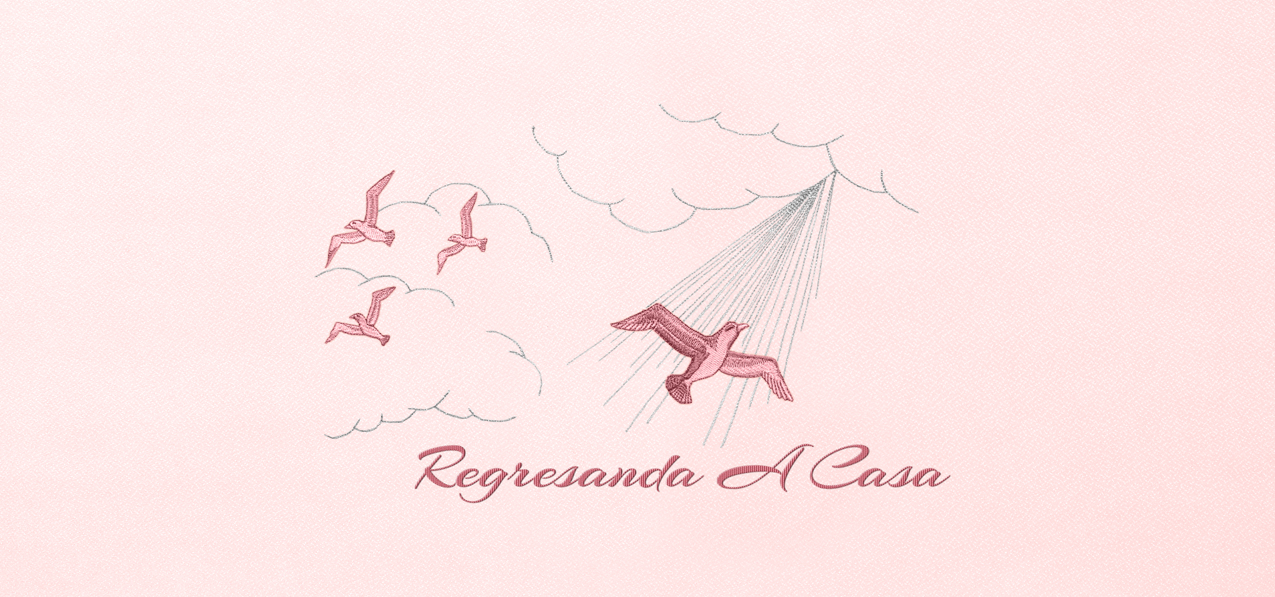 P 520 PK PK Regresanda A Casa Pink Pink Faux